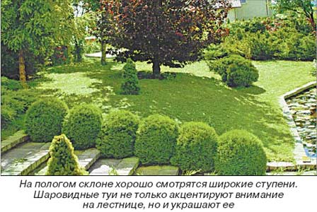 обустройство склона