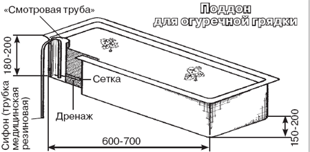 схема контейнера для огурцов