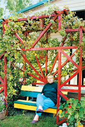 пергола
