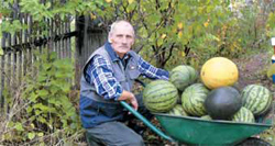 арбузы и дыни